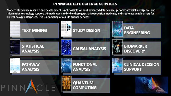 Pinnacles Services Overview