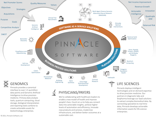 Pinnacle Software on a Page